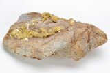Yellow Wulfenite Crystals - Lucin, Utah #214806-1